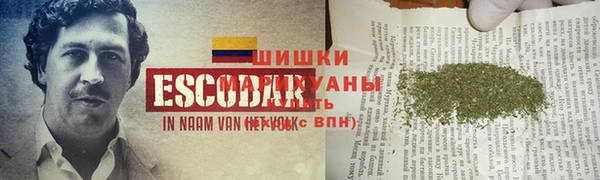 спиды Надым