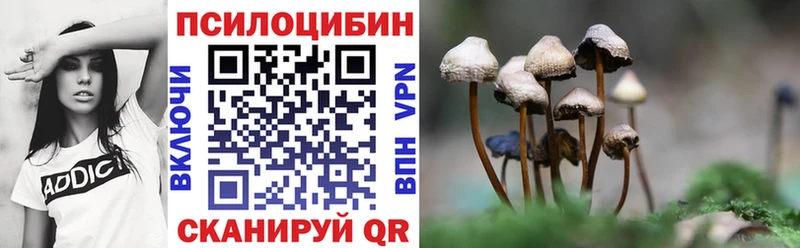 Псилоцибиновые грибы мицелий Кандалакша