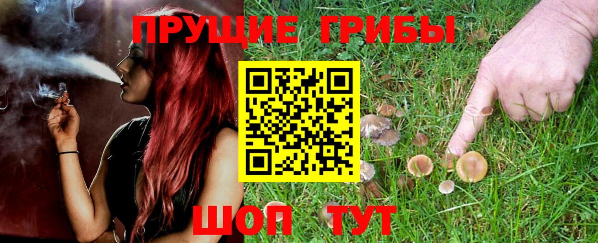 Псилоцибиновые грибы Magic Shrooms Кандалакша