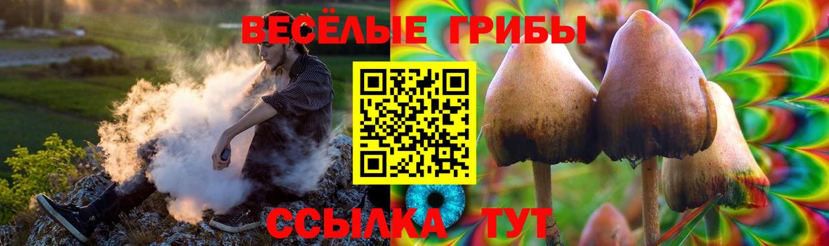 Галлюциногенные грибы MAGIC MUSHROOMS  Псилоцибиновые грибы Psilocybe  Кандалакша  Вход с VPN 